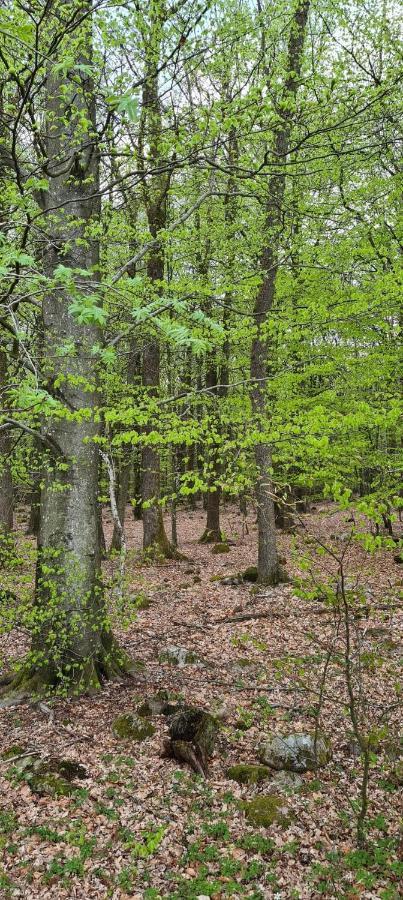 Вилла Lill Hagahus, Soederasens Nationalpark Kagerod Экстерьер фото